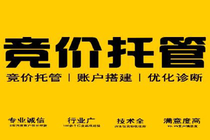 SEM推广优化中的关键词策略——以某品牌为例